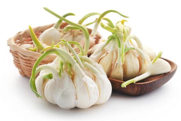 What are the benefits of eating raw garlic in empty stomach?