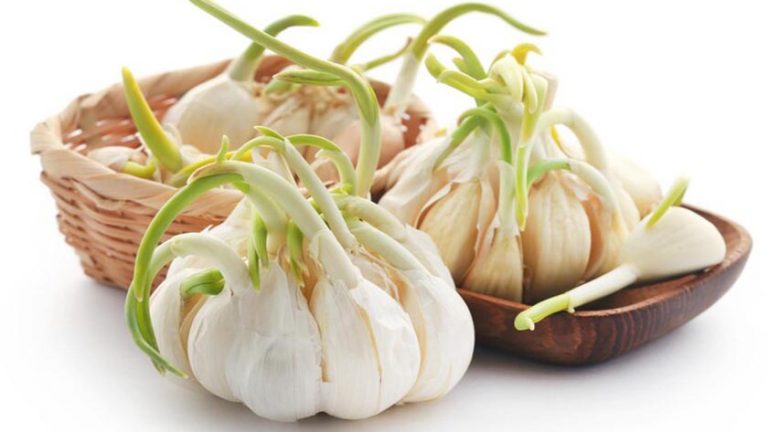 benefits of eating raw garlic in empty stomach